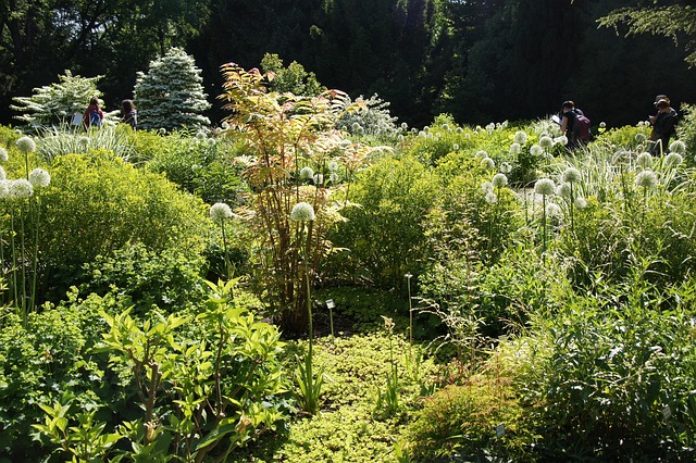 Free Weihenstephan Sighting Garden photo and picture