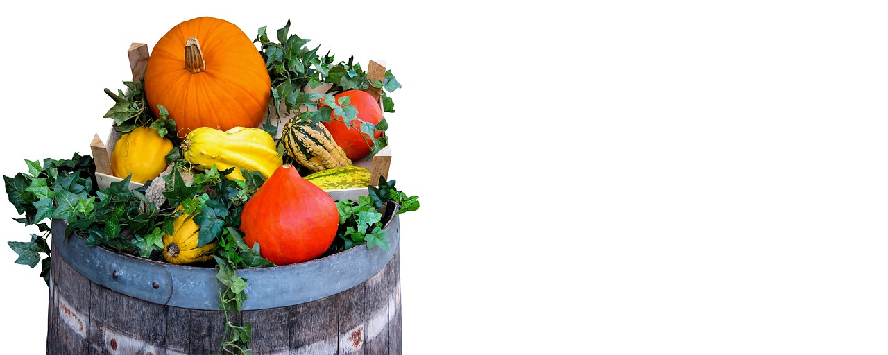 20,000+ Free Harvest Festival & Harvest Photos - Pixabay