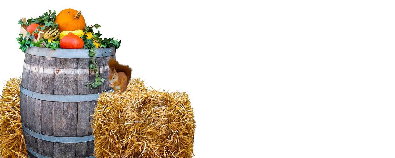 20,000+ Free Harvest Festival & Harvest Photos - Pixabay
