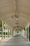 promenade, walking path, canopy