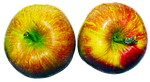 apple, fruit, pome fruit