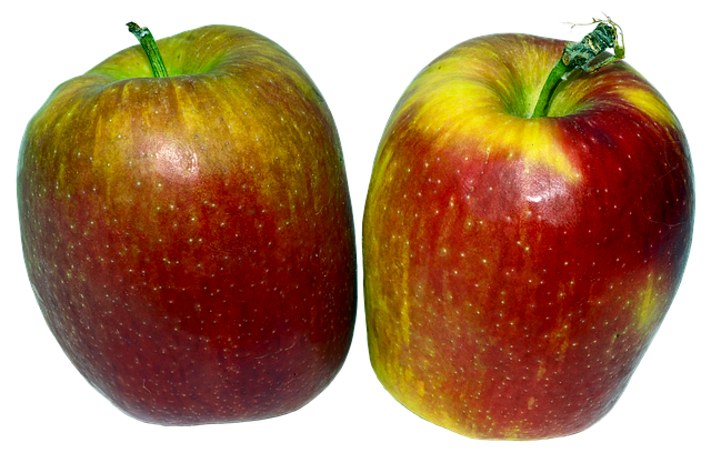 Free apple apples fruit illustration