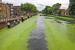 canal, water, wash boat
