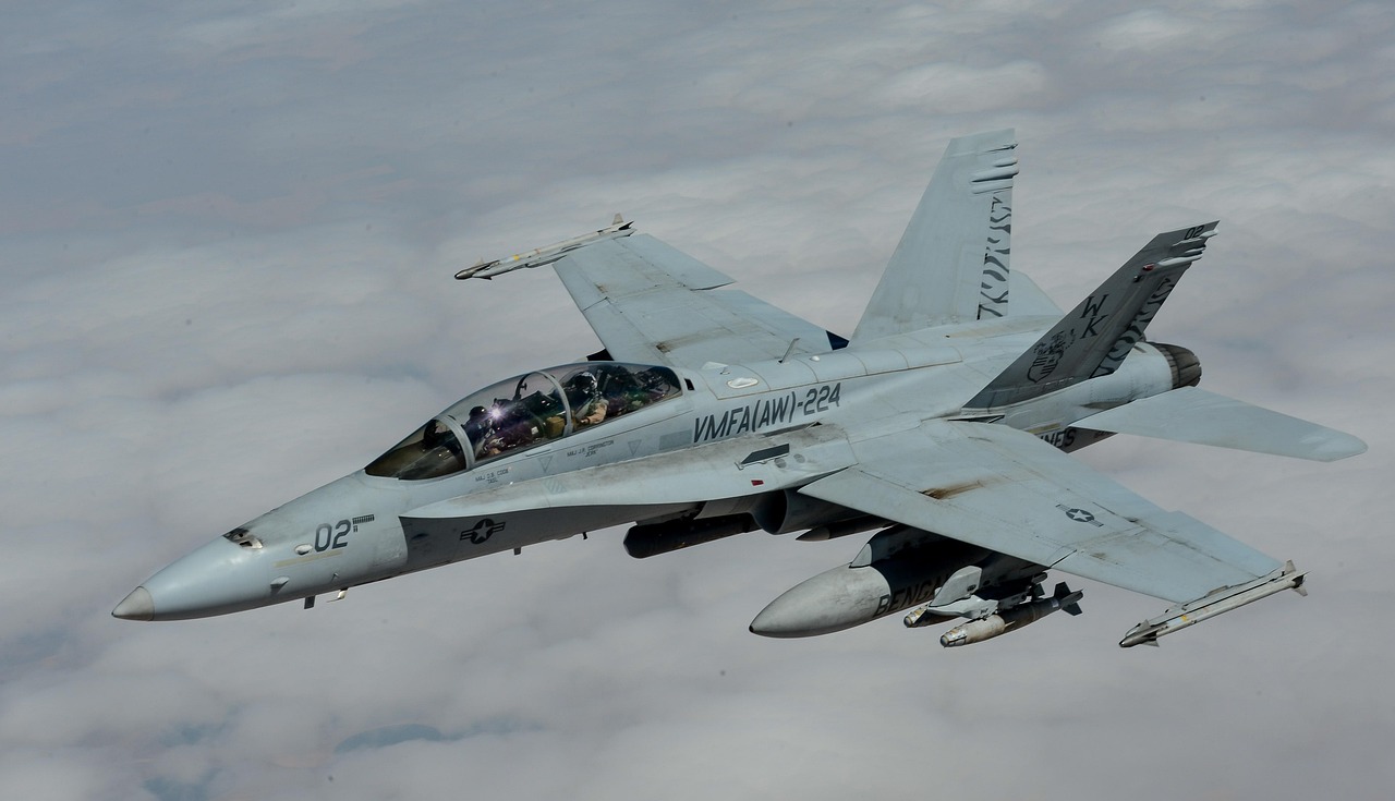 3 000 Ilmaista F 18 Hornet Hornet Kuvaa Pixabay