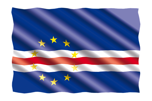 Free international banner flag illustration