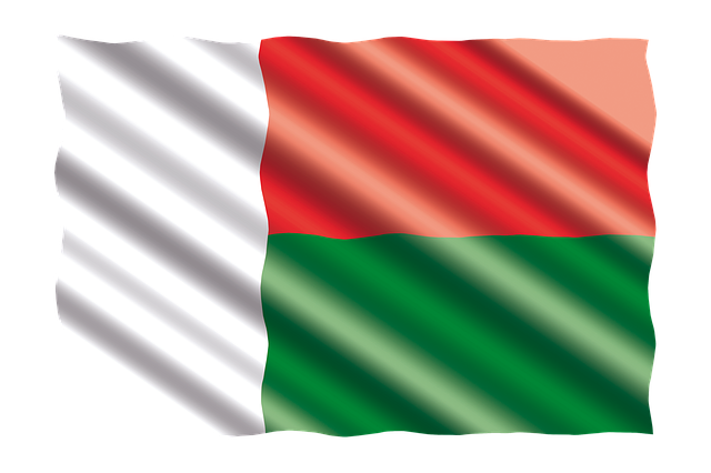Free international banner flag illustration