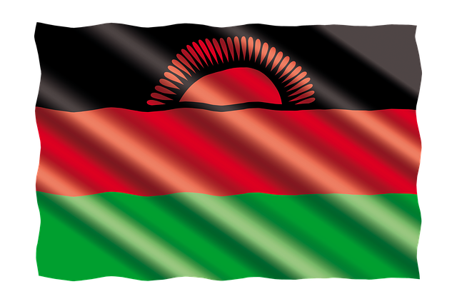 Free flag malawi banner illustration