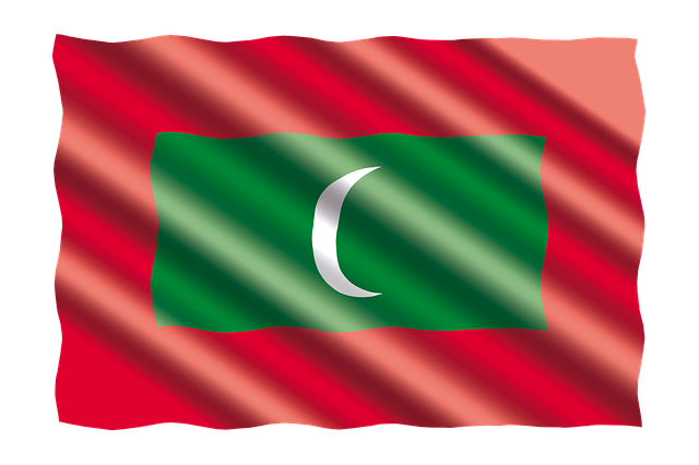 Free international banner flag illustration