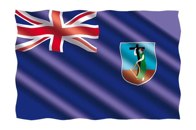 Download International Banner Flag Royalty-Free Stock Illustration ...