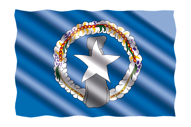 Free international banner flag illustration