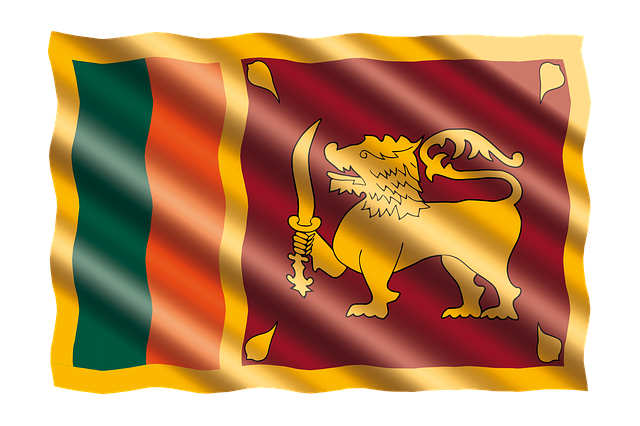 Free international banner flag illustration