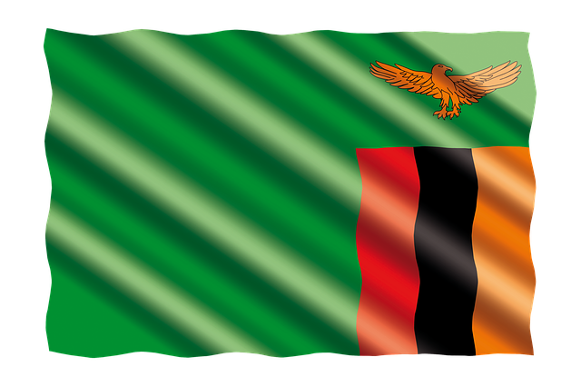 Free banner flag zambia illustration