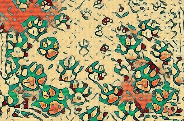 Free dog paws abstract illustration