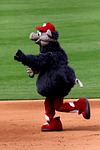 iron pigs, mascot, ferrous