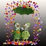 flowers, flowers rain, umbrella