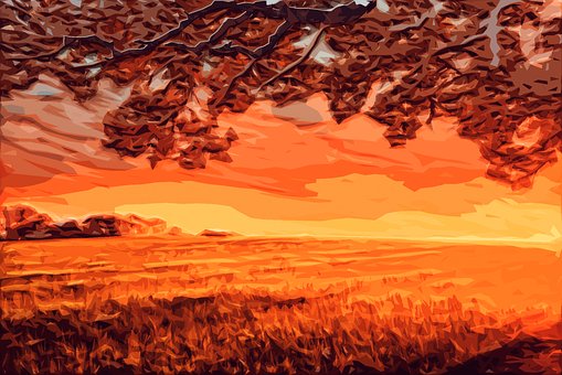 Campo, Atardecer, Naranja, Cielo, Tierra