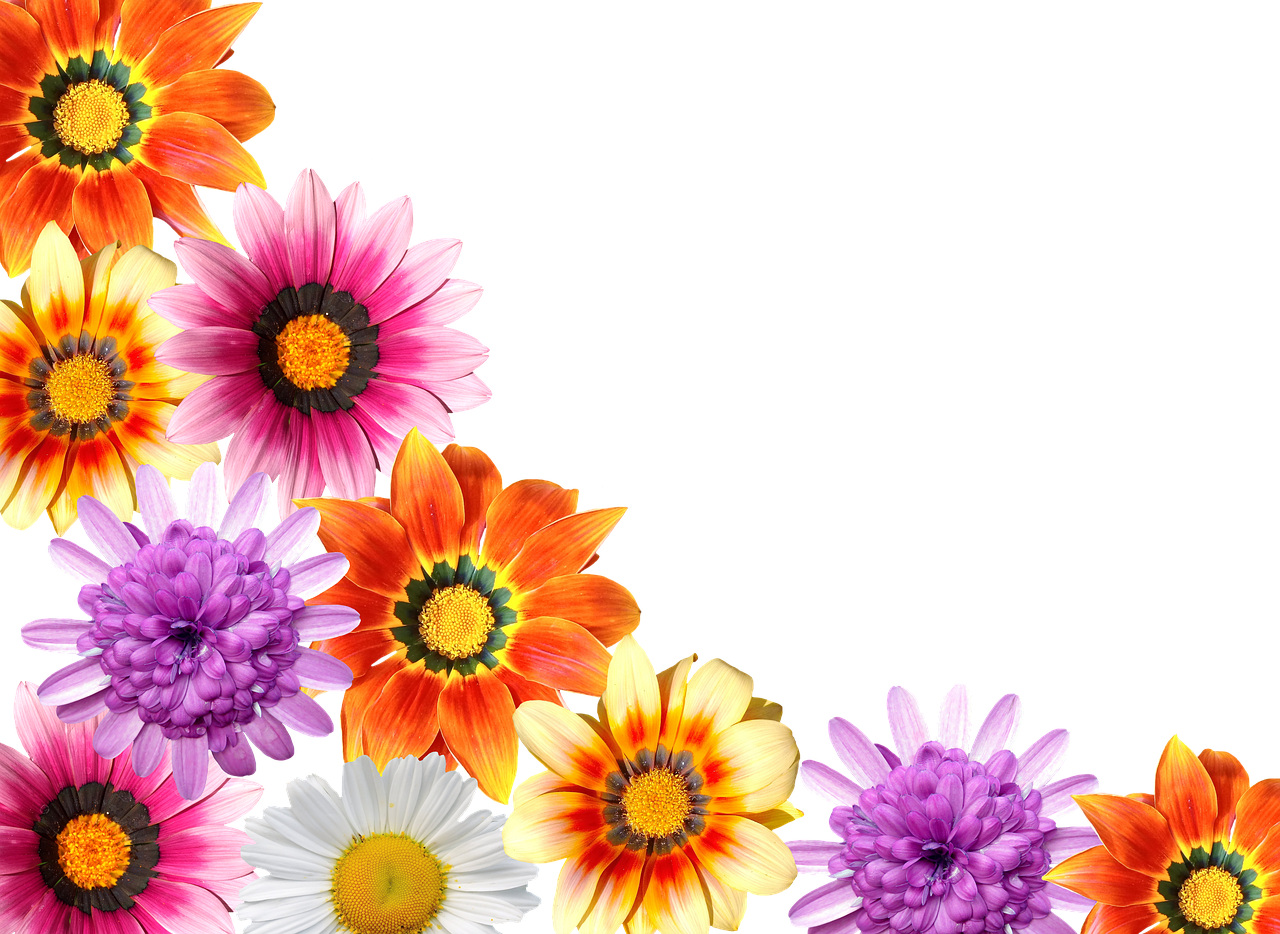 Flowers Summer Garden Free Image On Pixabay