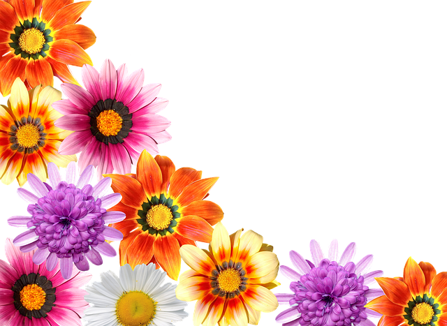Blomstrer, Sommer, Hage, Natur, Blomst