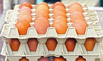 egg, hen's egg, egg carton