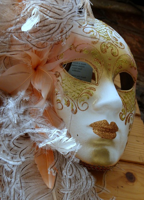 Free Venice Mask photo and picture