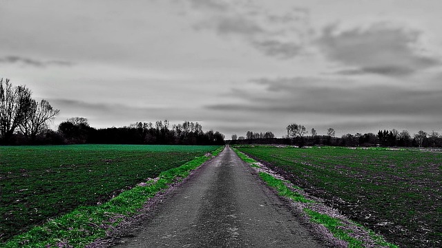 Free Field Gloomily photo and picture