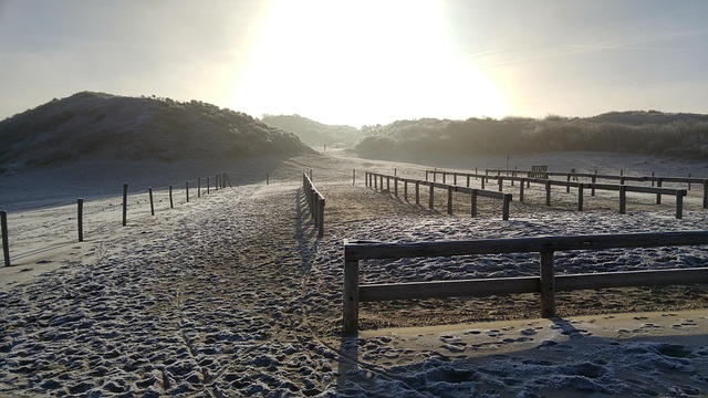 Free Dunes Winter photo and picture