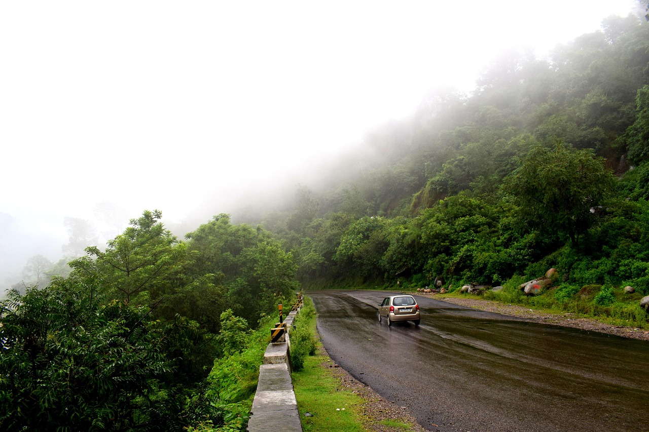 Rains - free online jigsaw puzzle photo