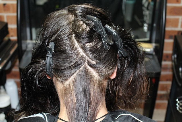Free Hairdressing Hairdresser photo and picture