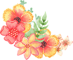 floral, decoration, embellishment