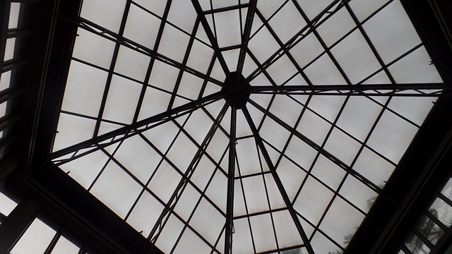 Free Ceiling Building photo and picture