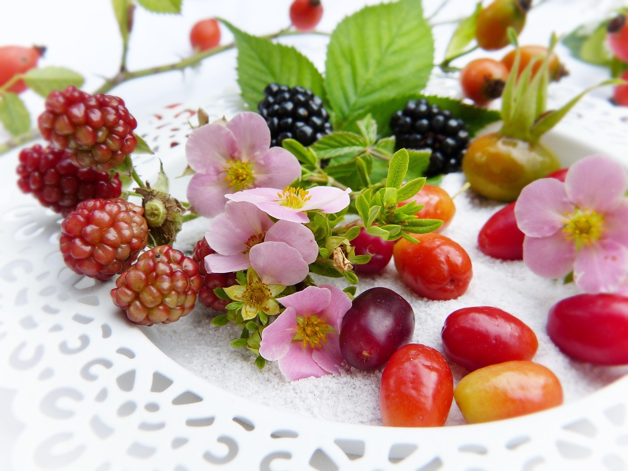 哪种水果不属于浆果类 berries-2665250_1280.jpg
