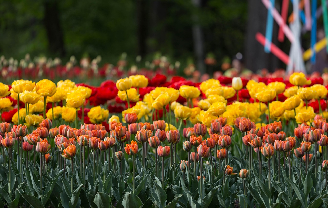 Flowers - free online jigsaw puzzle photo