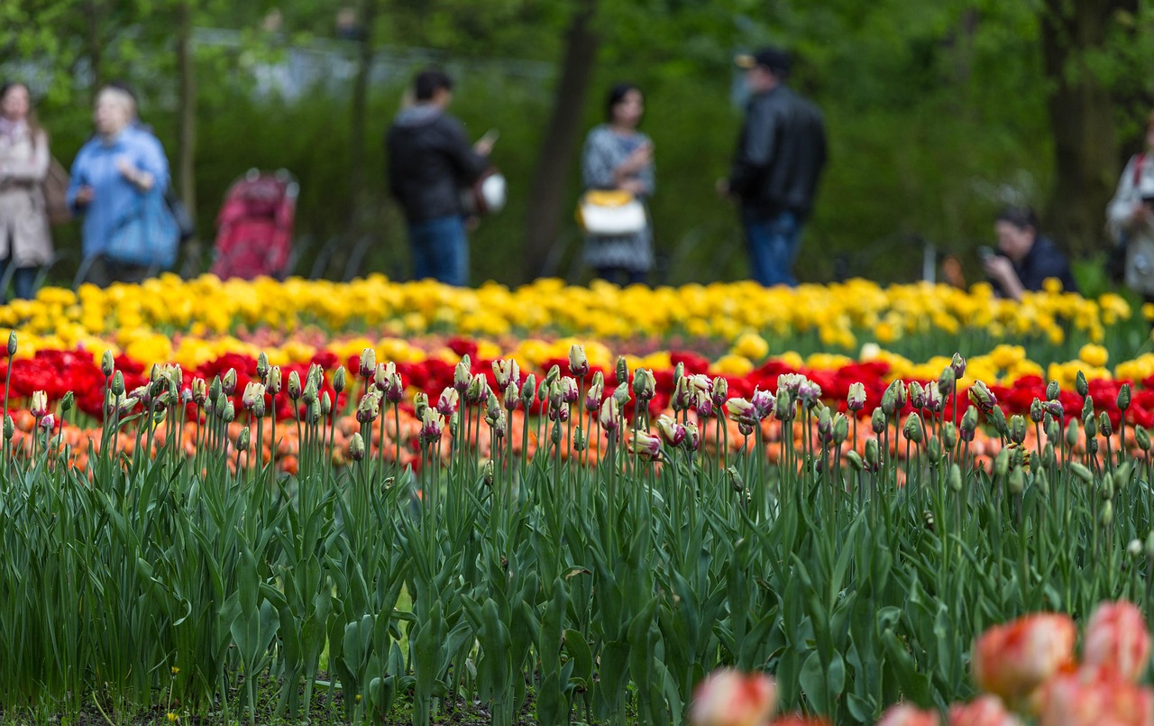Flowers - free online jigsaw puzzle photo