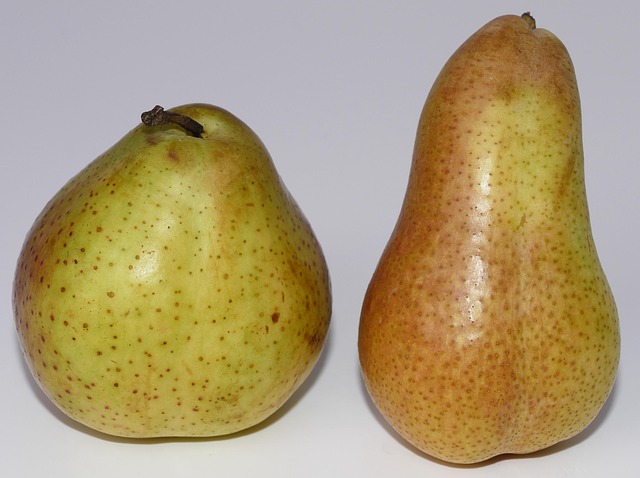 Free Pears Fruit photo and picture