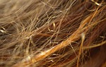 hair, wire, clay