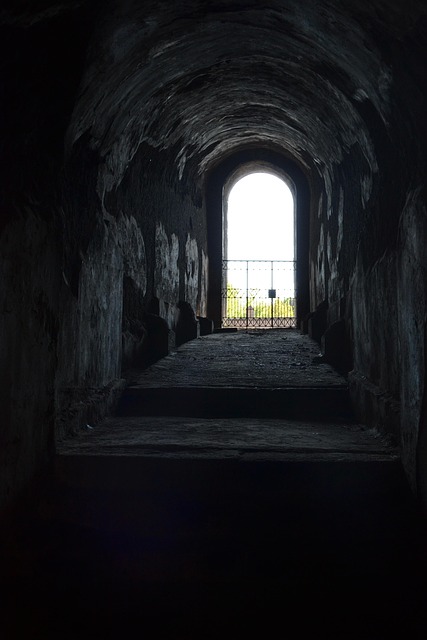 Free Door Dark photo and picture