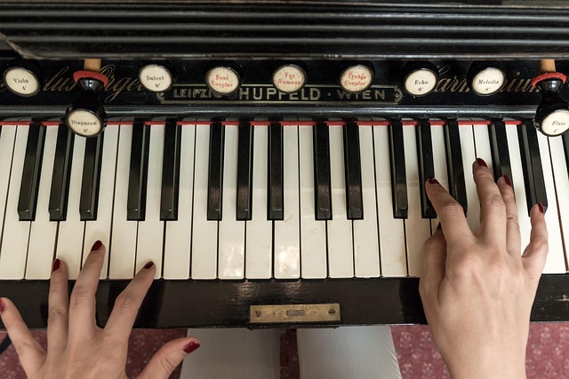 Nøgler, Hudobý Værktøj, Organ