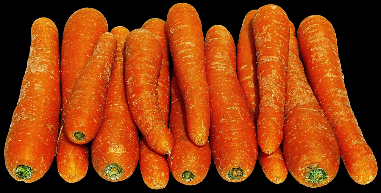 carrot-2667260_1280.jpg