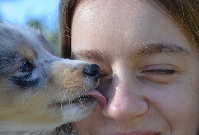 Free Woman Animal photo and picture