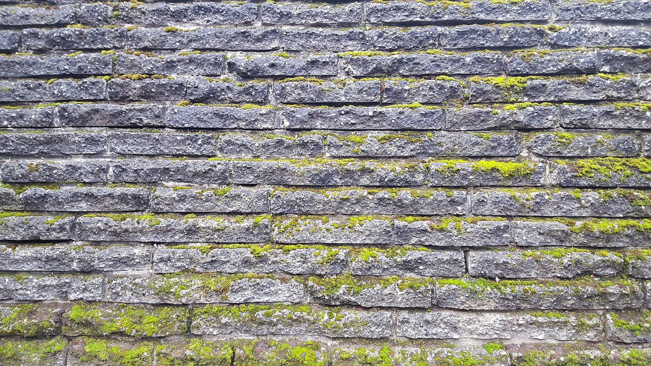 Texture - free online jigsaw puzzle photo
