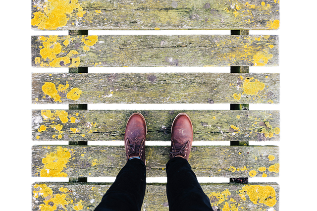 Free bridge web wooden bridge illustration