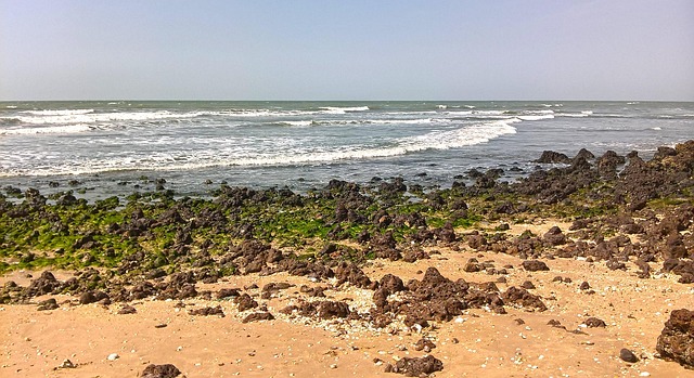 Strand, Stoney Strand, Tropisch, Kust