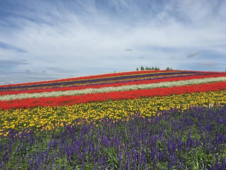 超过10 张关于 美瑛 和 北海道 的免费图片 Pixabay