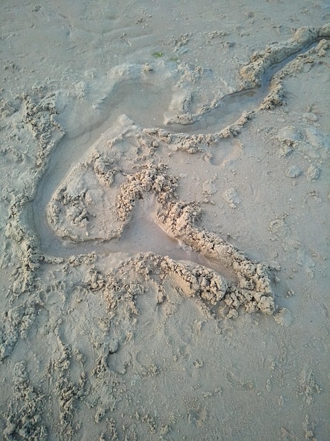 Free Water Beach photo and picture