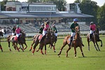 sport, horse, competition