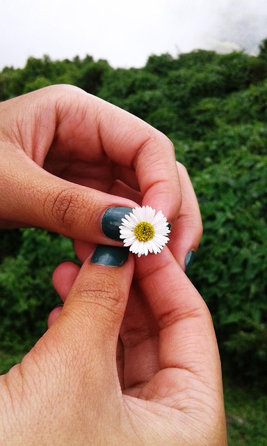 Nature, Flor, Manos, Naturaleza