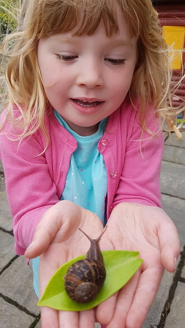 Free Snail Leaf photo and picture
