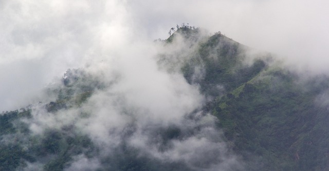 Free Phu Langka Nature photo and picture
