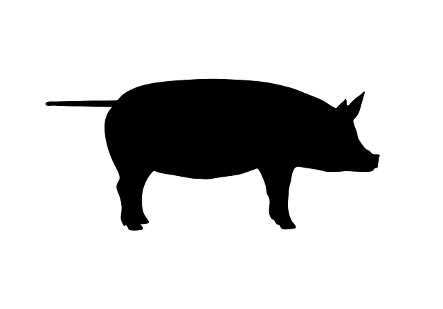 Free walk walking standing vector