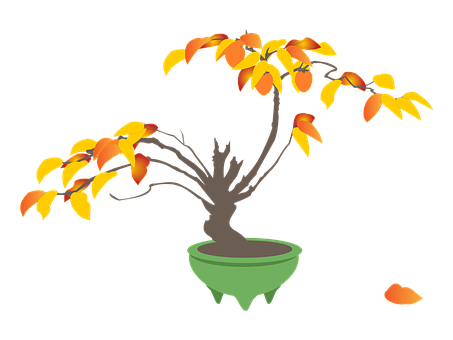400以上の無料盆栽 木画像 Pixabay